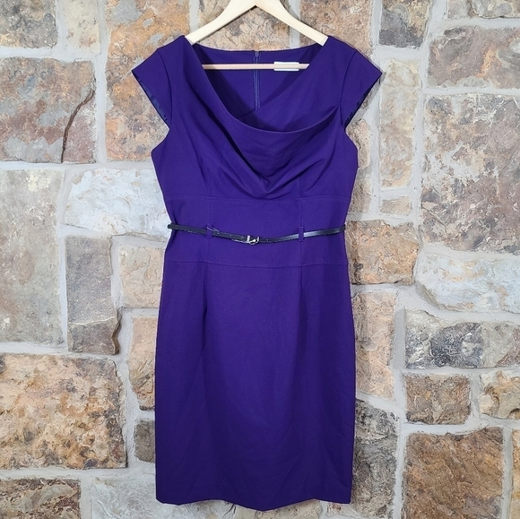 Calvin Klein Dresses & Skirts - Nwt Calvin Klein 8 Belted Cap Sleeve Dress